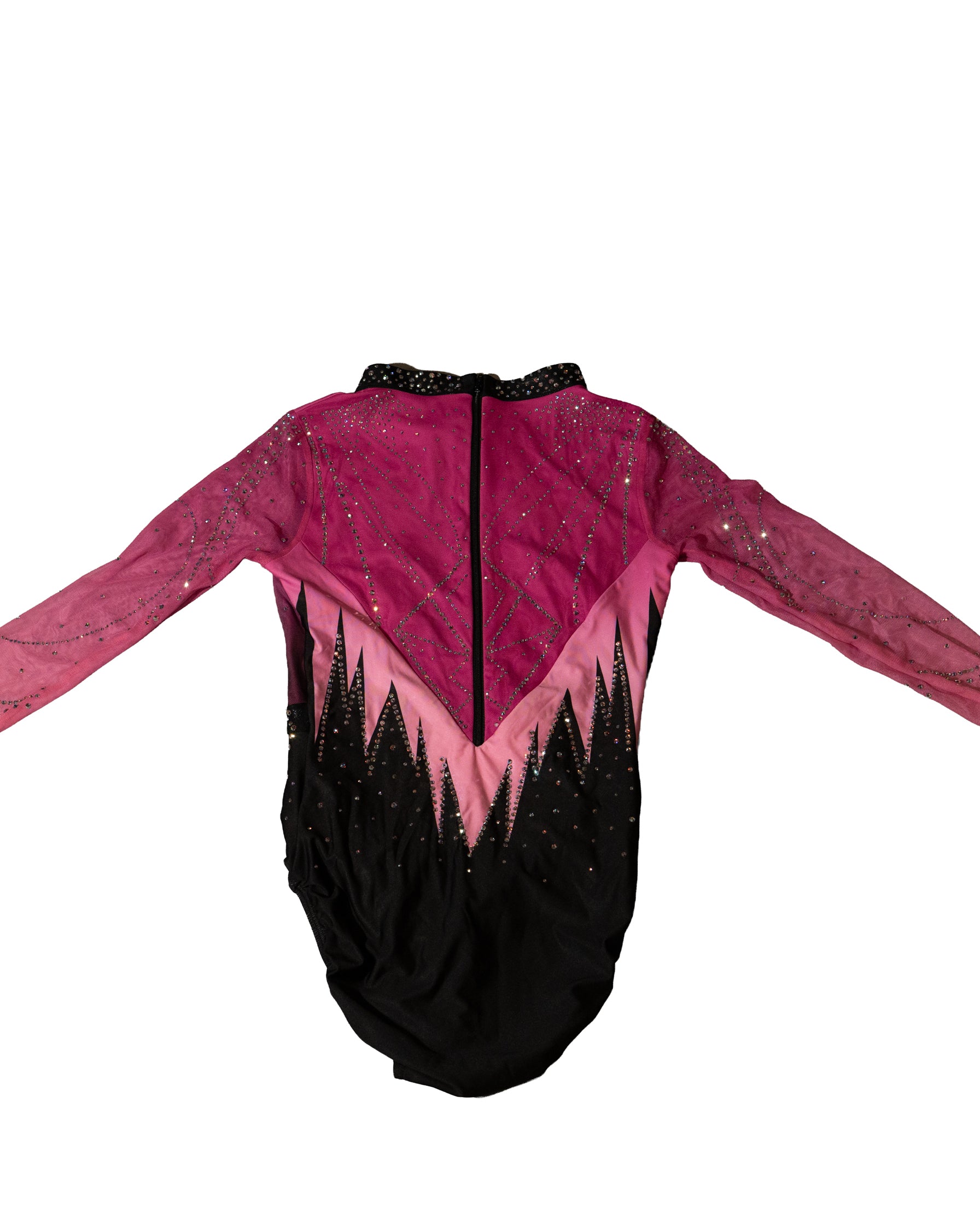 Vault 2 Adult Large Back