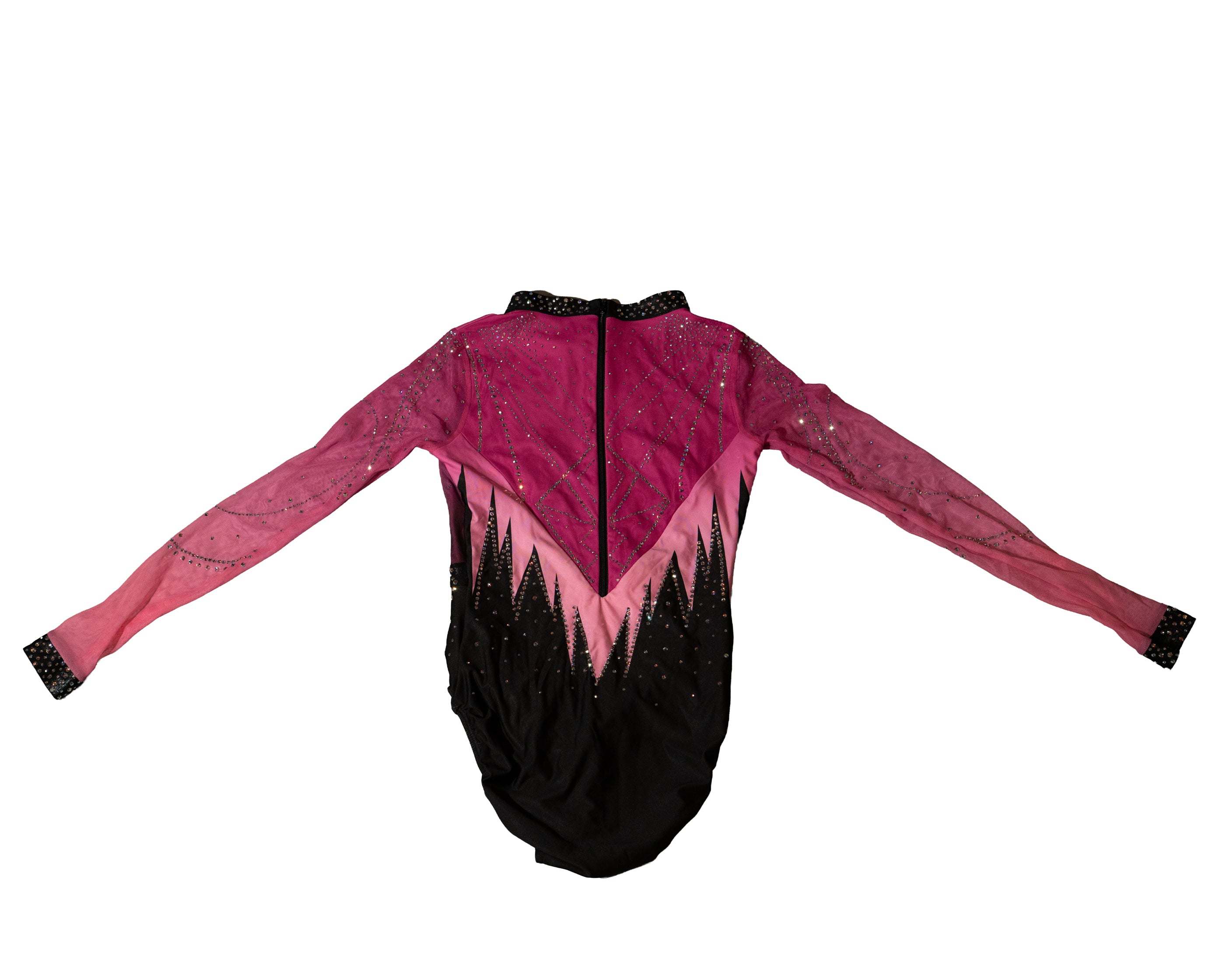 Vault 2 Adult Large Back