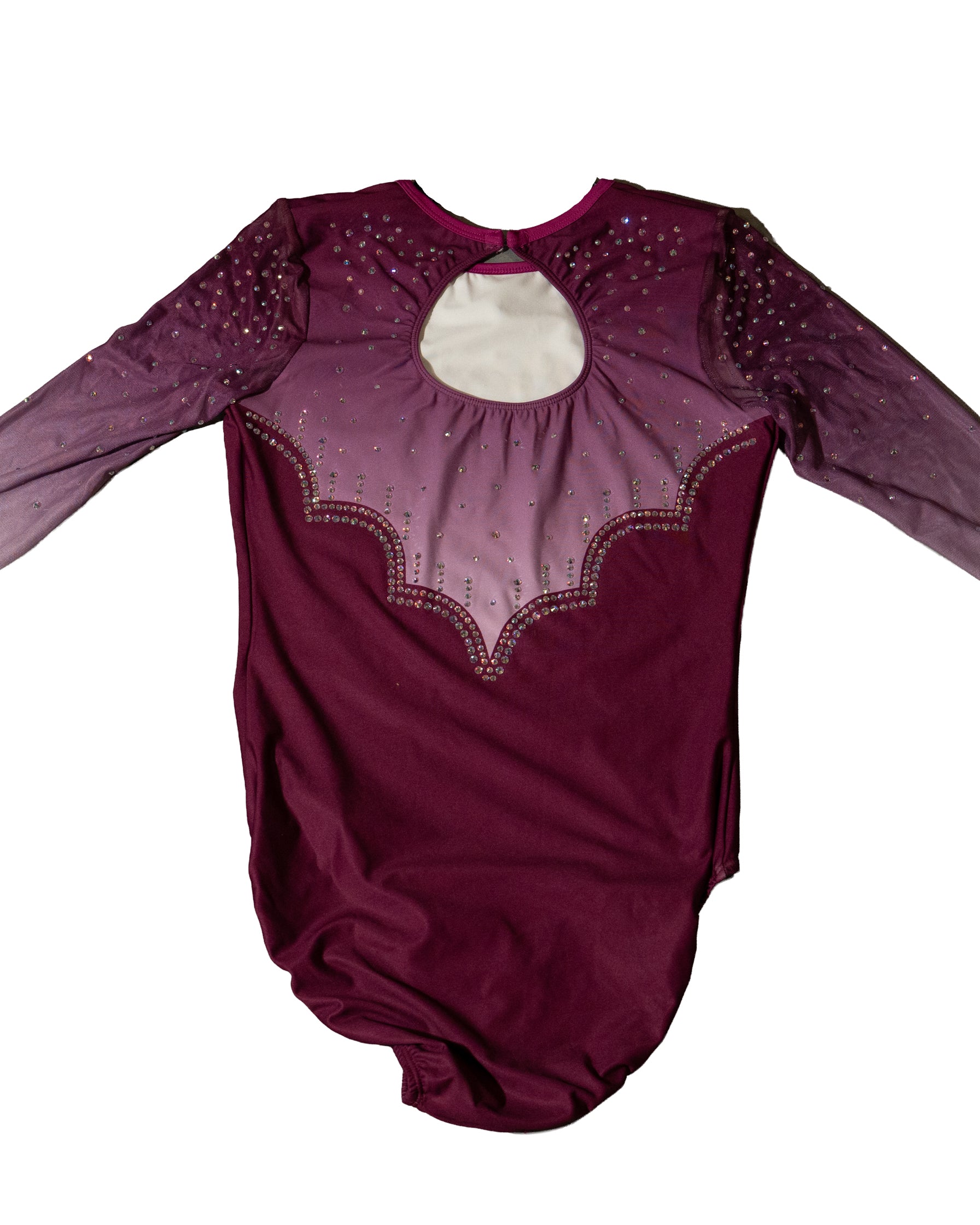 Vault 4 Adult Large Back