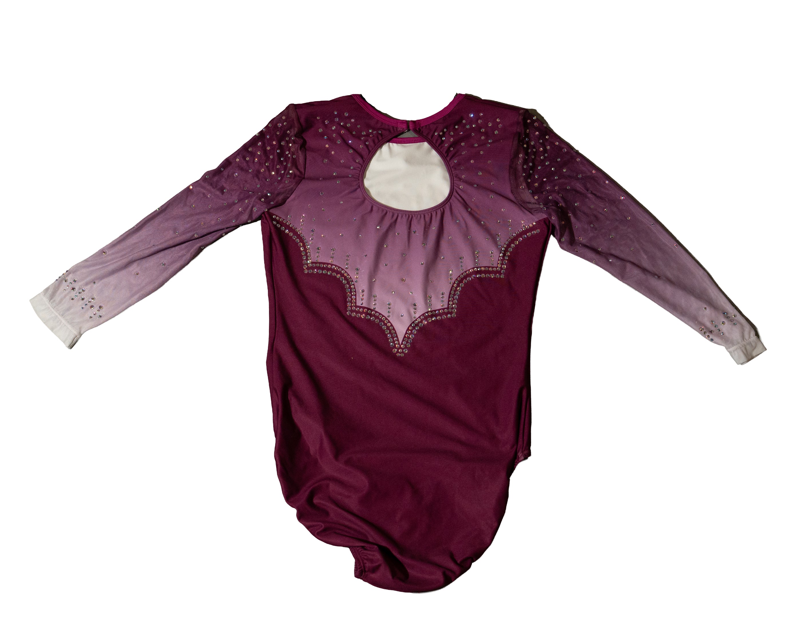 Vault 4 Adult Large Back